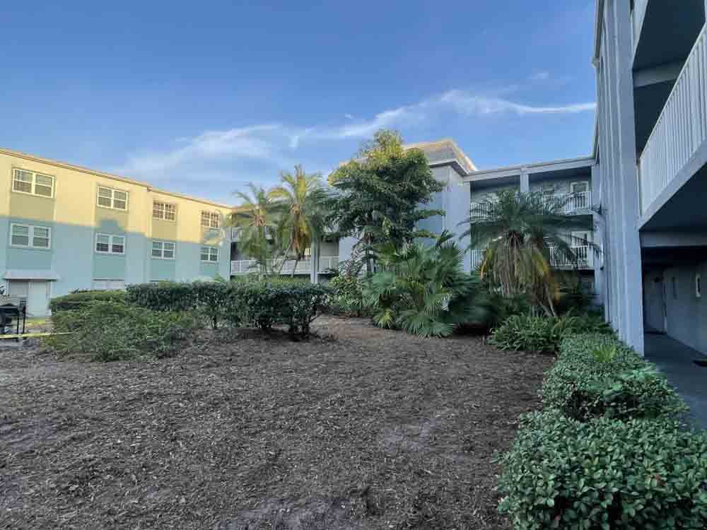 A large building with a lot of trees and bushes in front of it.