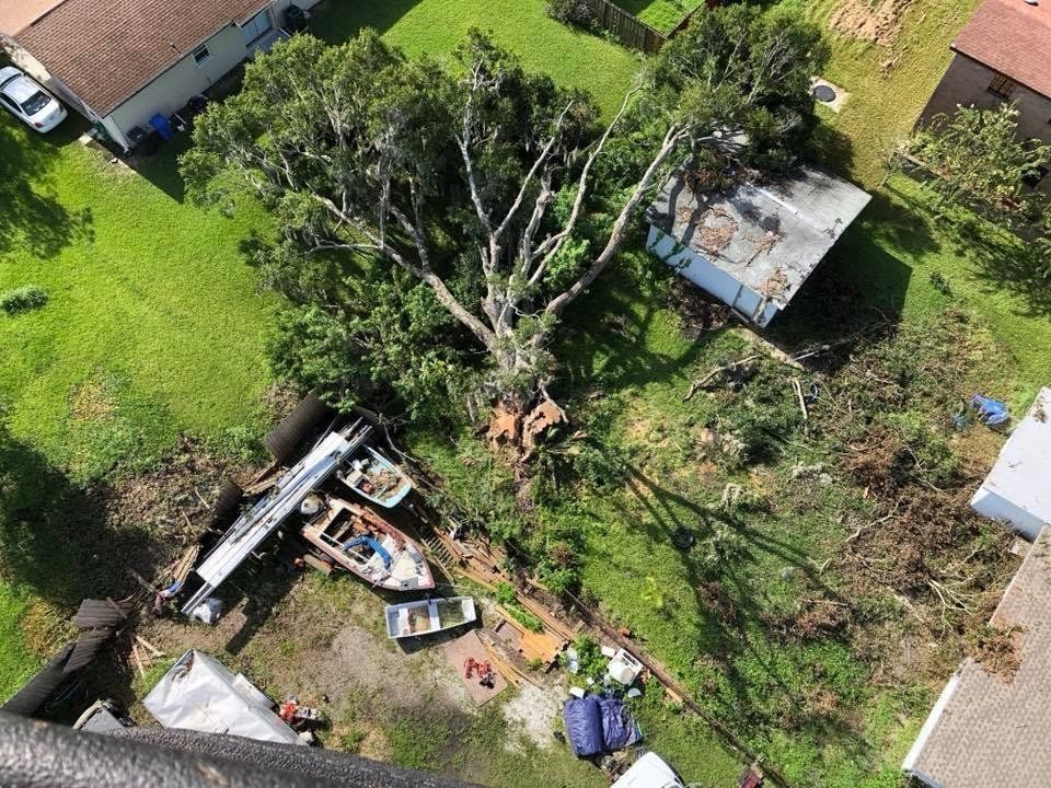 An aerial view of a tree that has fallen in a yard.