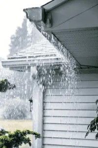 Rain pouring from a gutter on a house; visible siding and greenery in the blurred background. Rain pouring from a gutter on a house; visible siding and greenery in the blurred background.