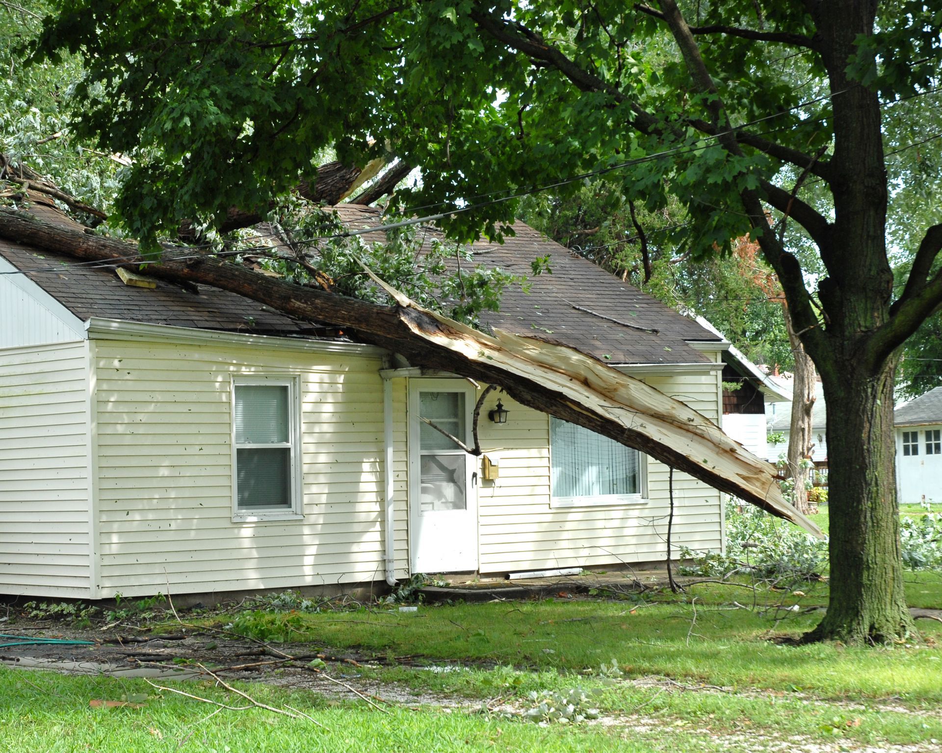 A tree has fallen on a small, white house, damaging the roof. Green grass and other houses are visible.