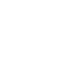 Shingle Master logo