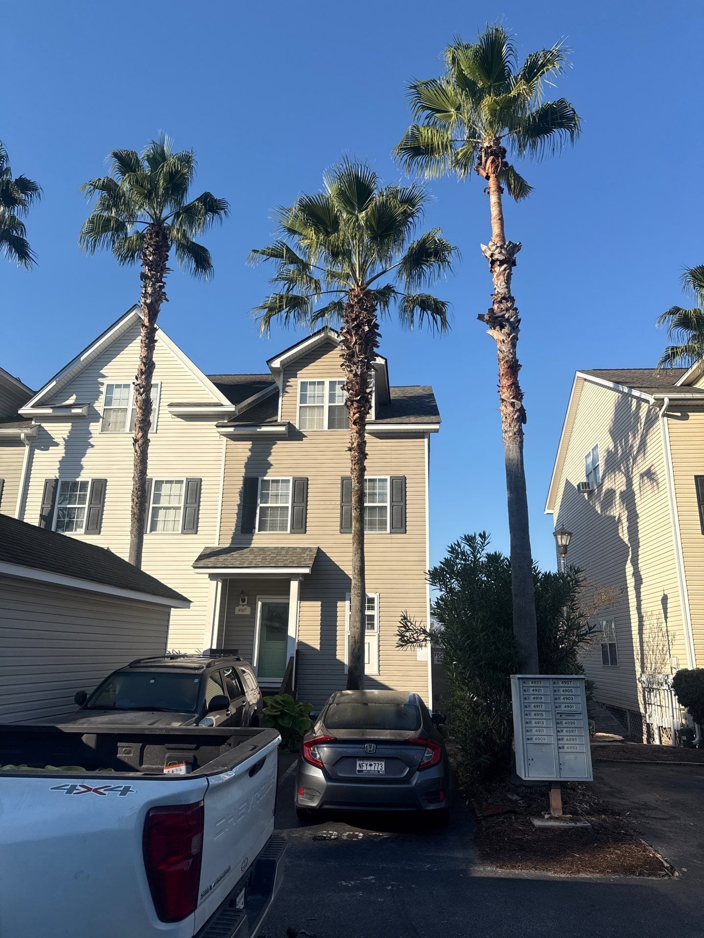 Townhouses with palm trees; parked vehicles in front. Sunny day.