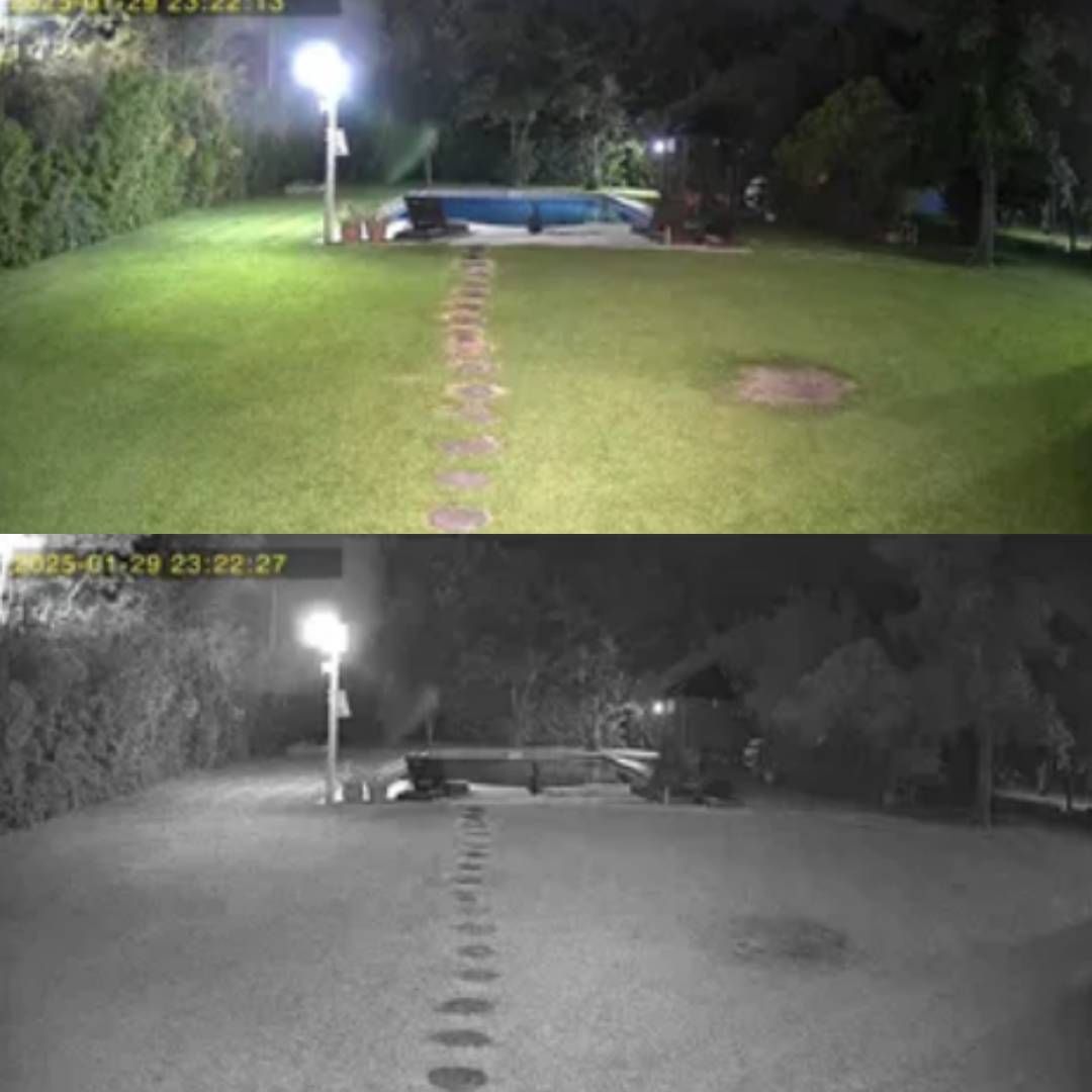 Una fotografía en blanco y negro de un césped por la noche.