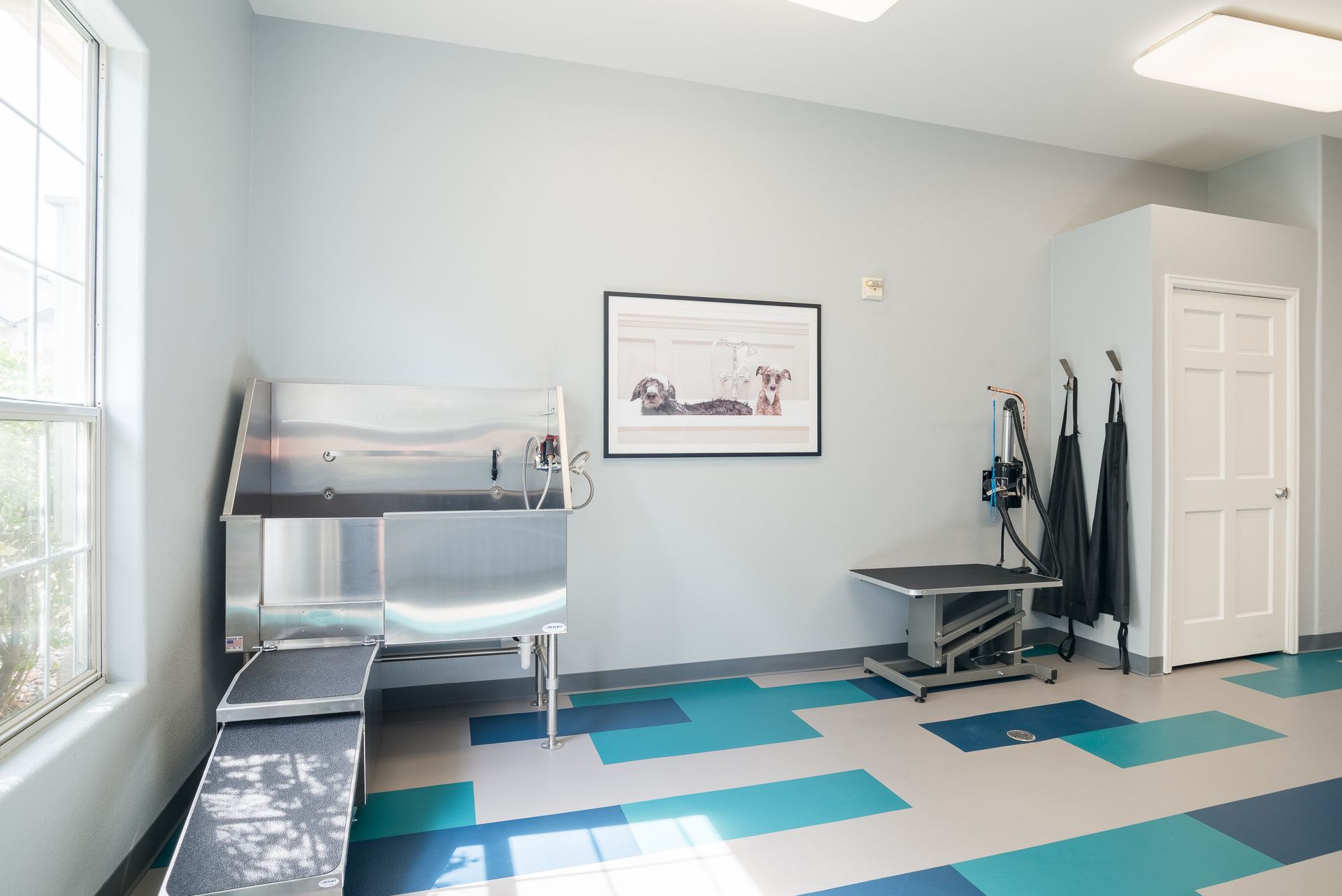 Dog grooming station with stainless steel tub and grooming table, blue and teal floor.