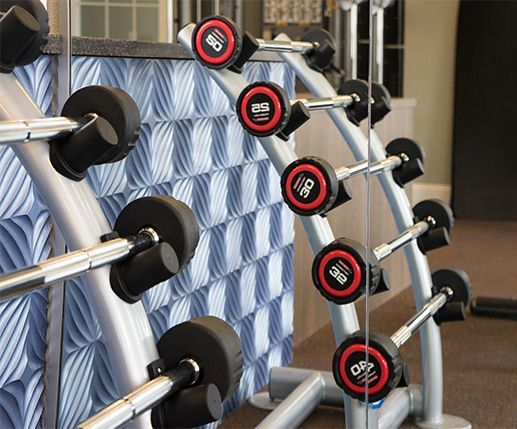 Weight rack with multiple barbells in a gym setting.