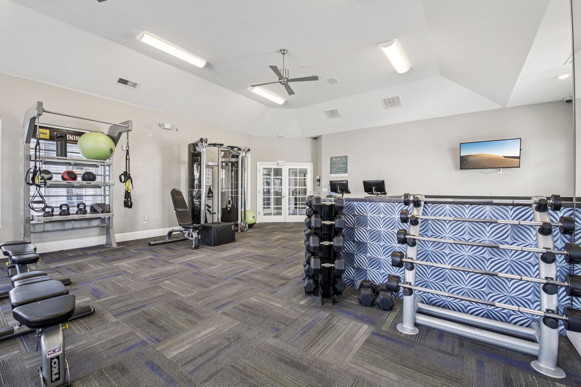 Gym with weights, exercise machines, and a television. Gray and blue color scheme.