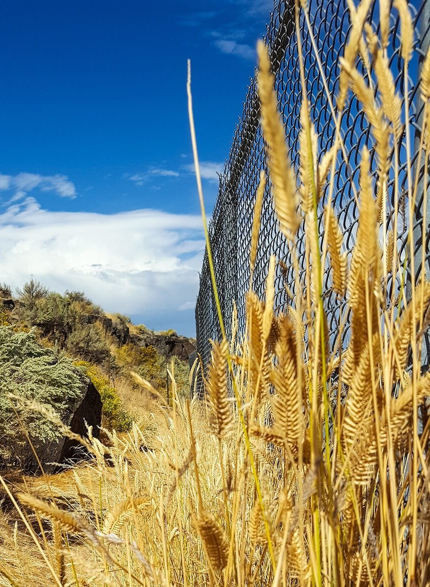 Chain Link Fence Installation in Maricopa AZ