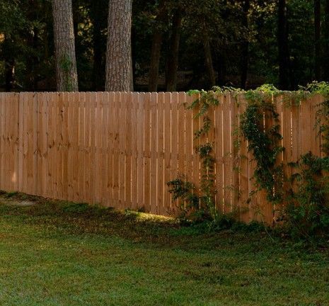 Wood Privacy fencing in Maricopa AZ