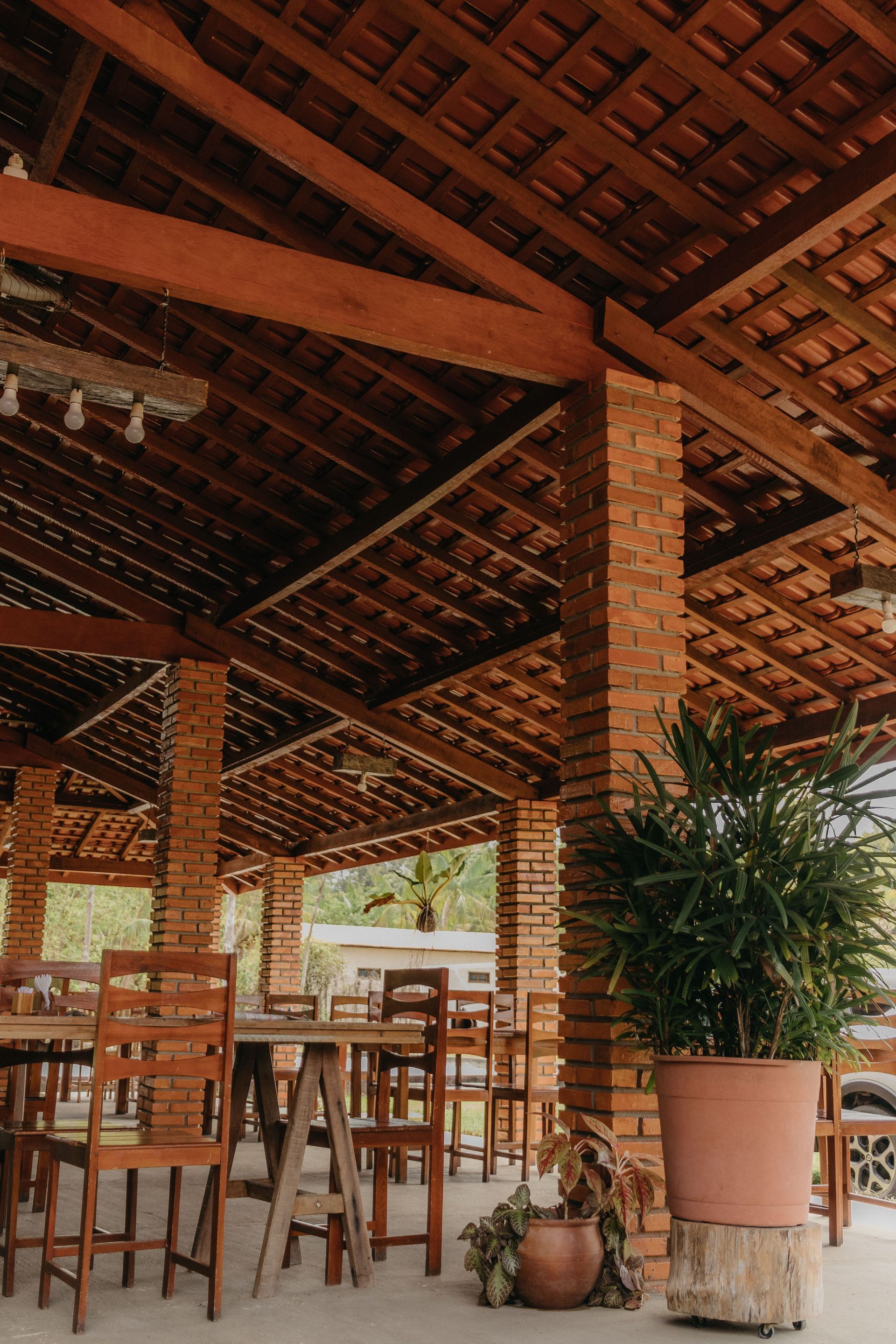 Open-air café with wooden tables and chairs under a tiled roof, next to a large potted plant