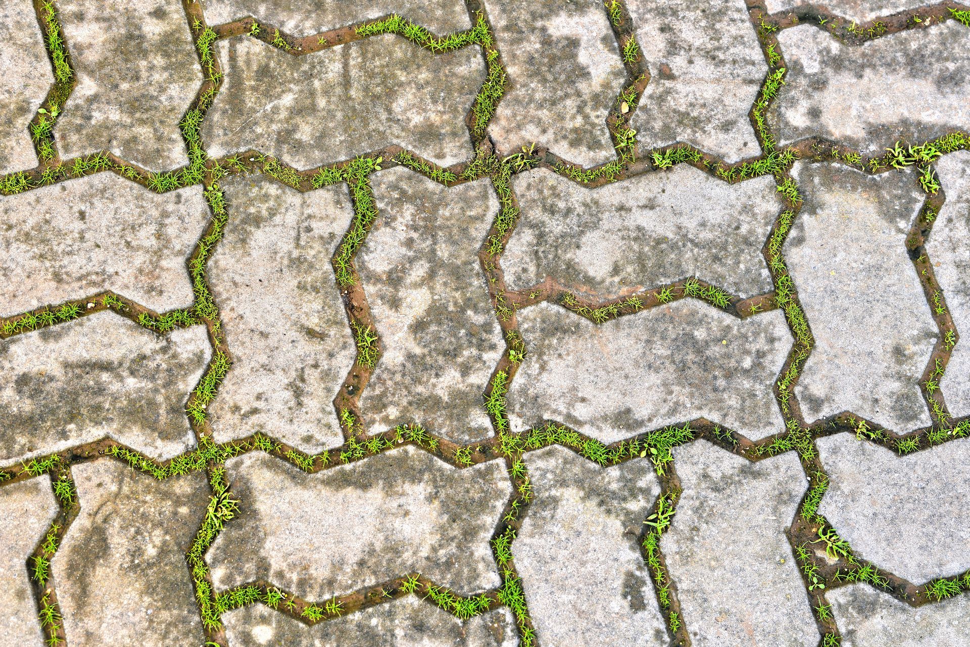 Paver Installation
