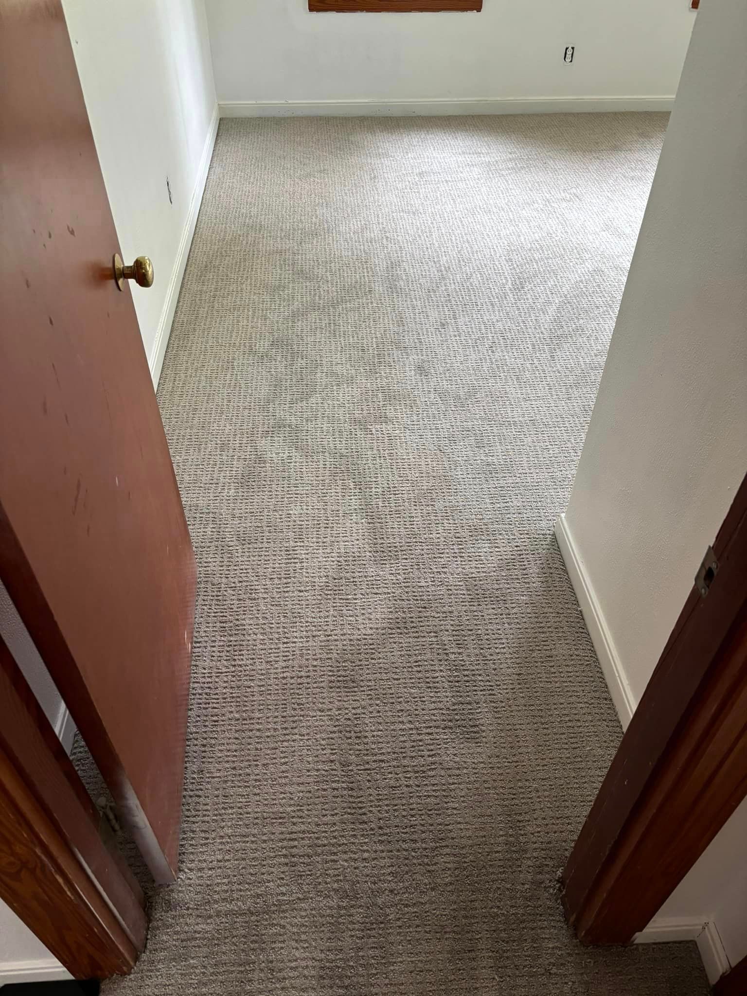 A room with a carpeted floor and two doors leading to it.