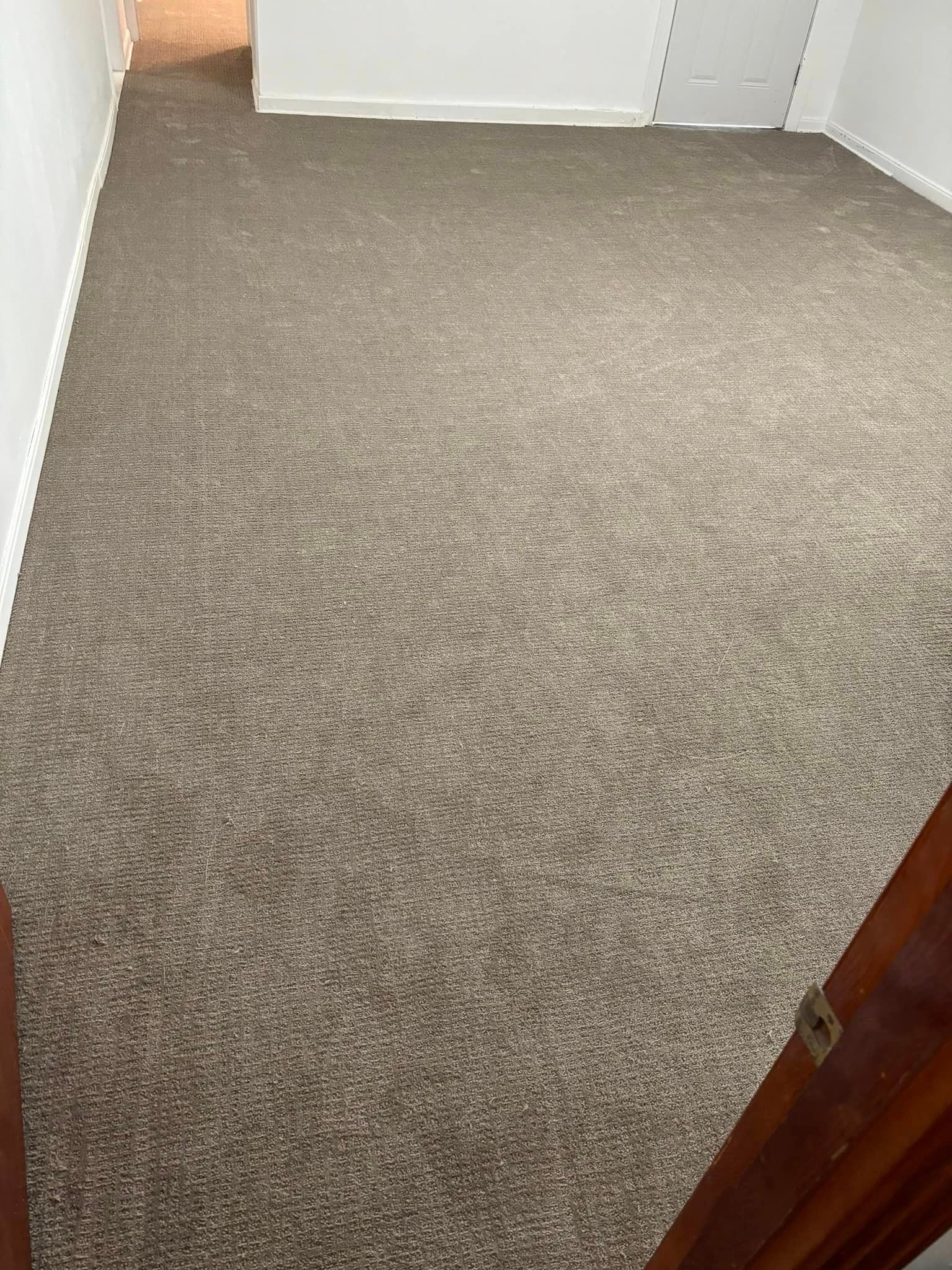 A room with a brown carpeted floor and white walls.