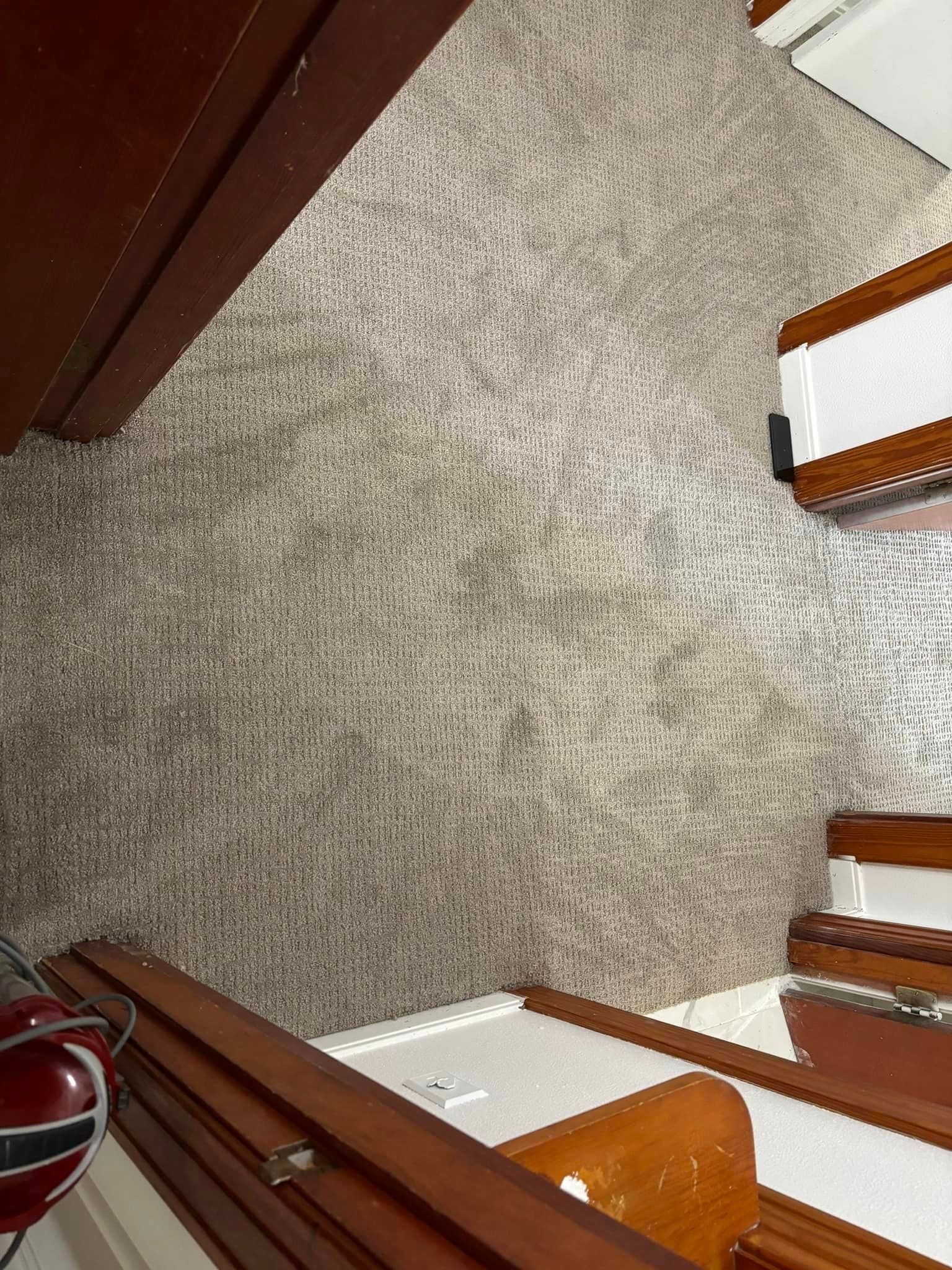 A room with a carpeted floor and wooden stairs.