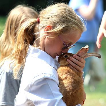 Girl in white shirt gently holding a brown rabbit outdoors