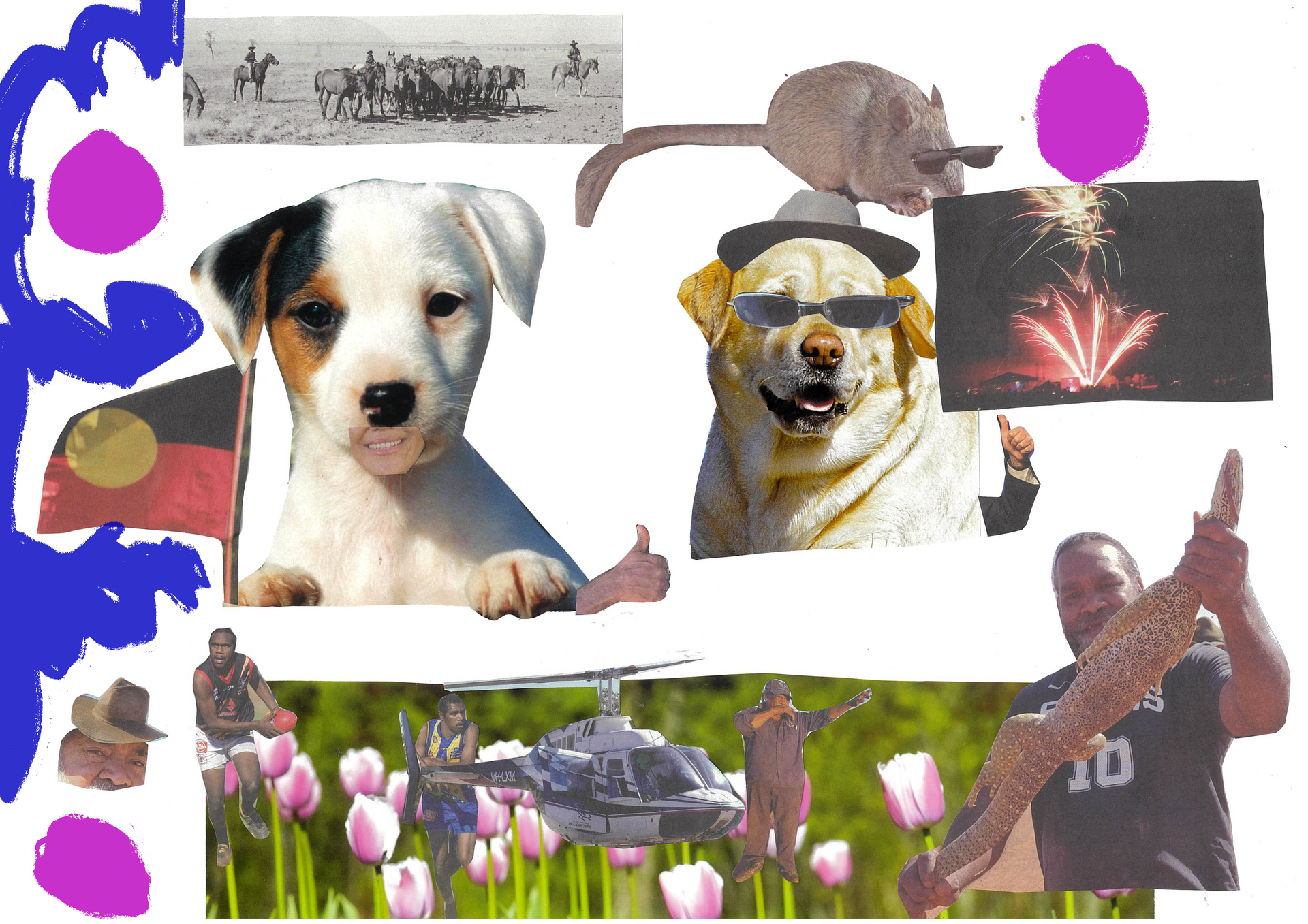 A collage of pictures including a dog and a man with the number 20 on his shirt