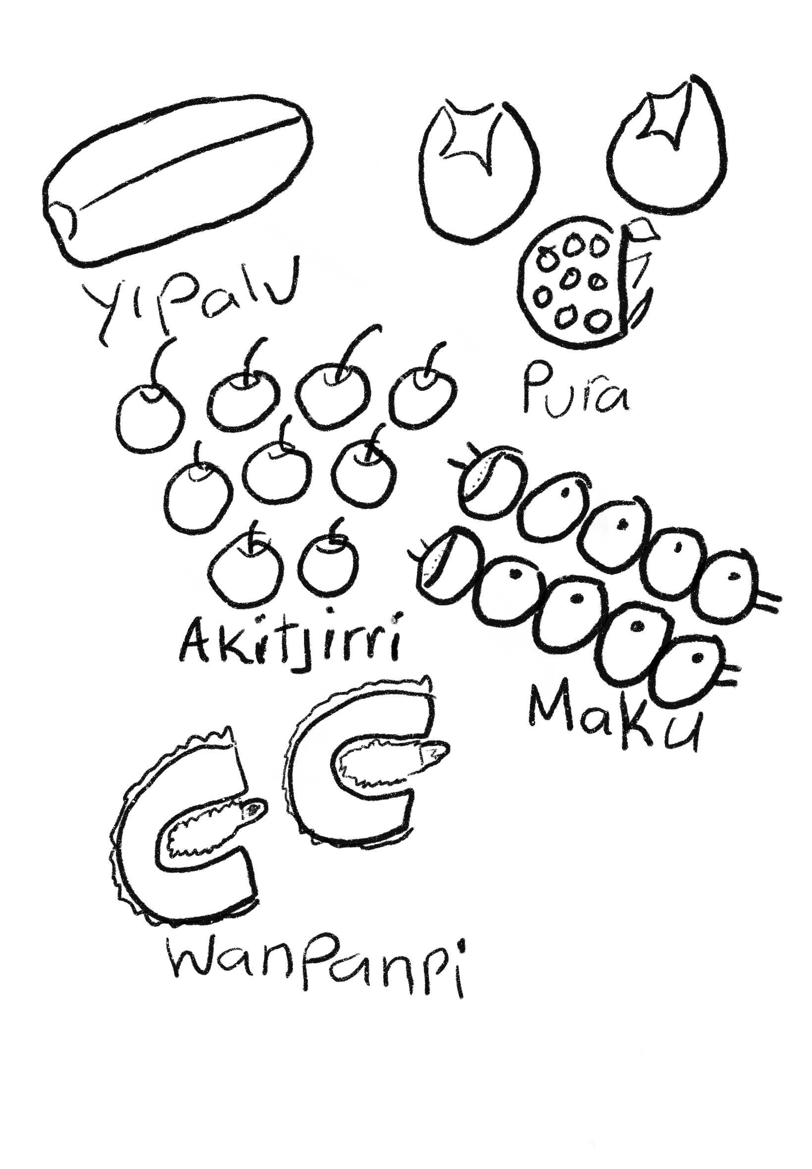 A black and white drawing of various fruits and vegetables