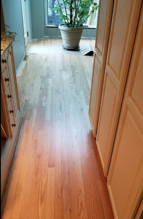 Narrow hallway with light wood flooring, open doors, and a potted plant by a bright window.