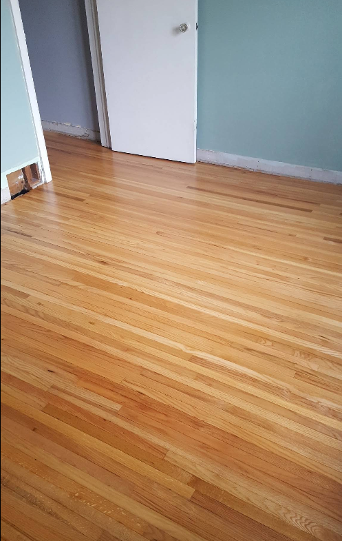 Empty room with light blue walls and polished hardwood floor near an open doorway