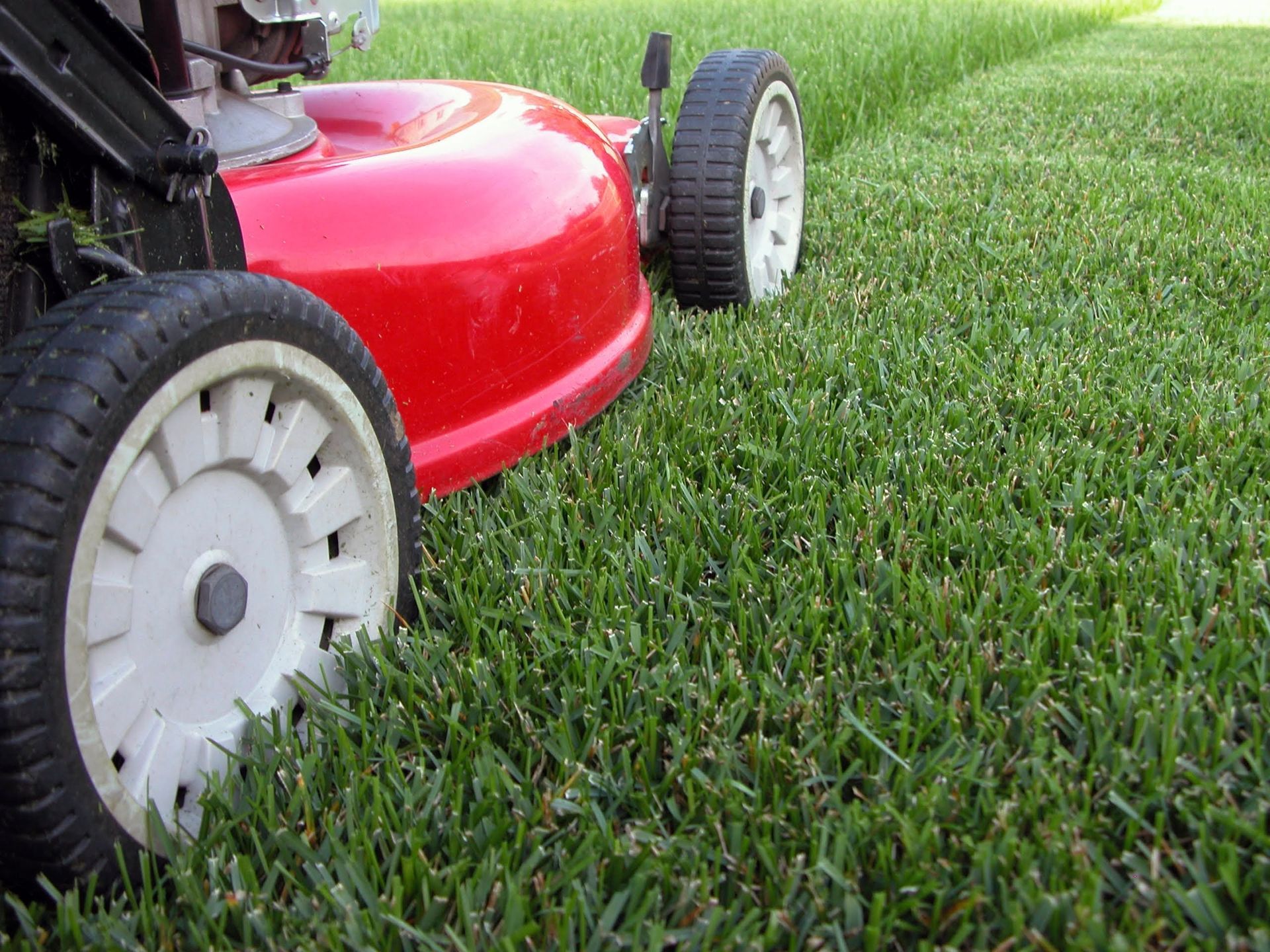 Red lawn mower cutting green grass in a yard