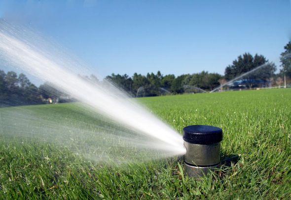 Sprinkler spraying water across a green lawn under a blue sky