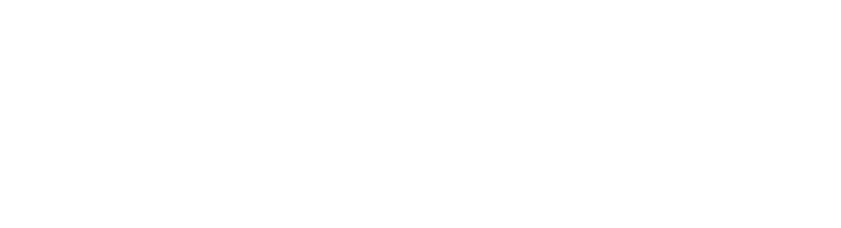 The District at Manhattan Logo