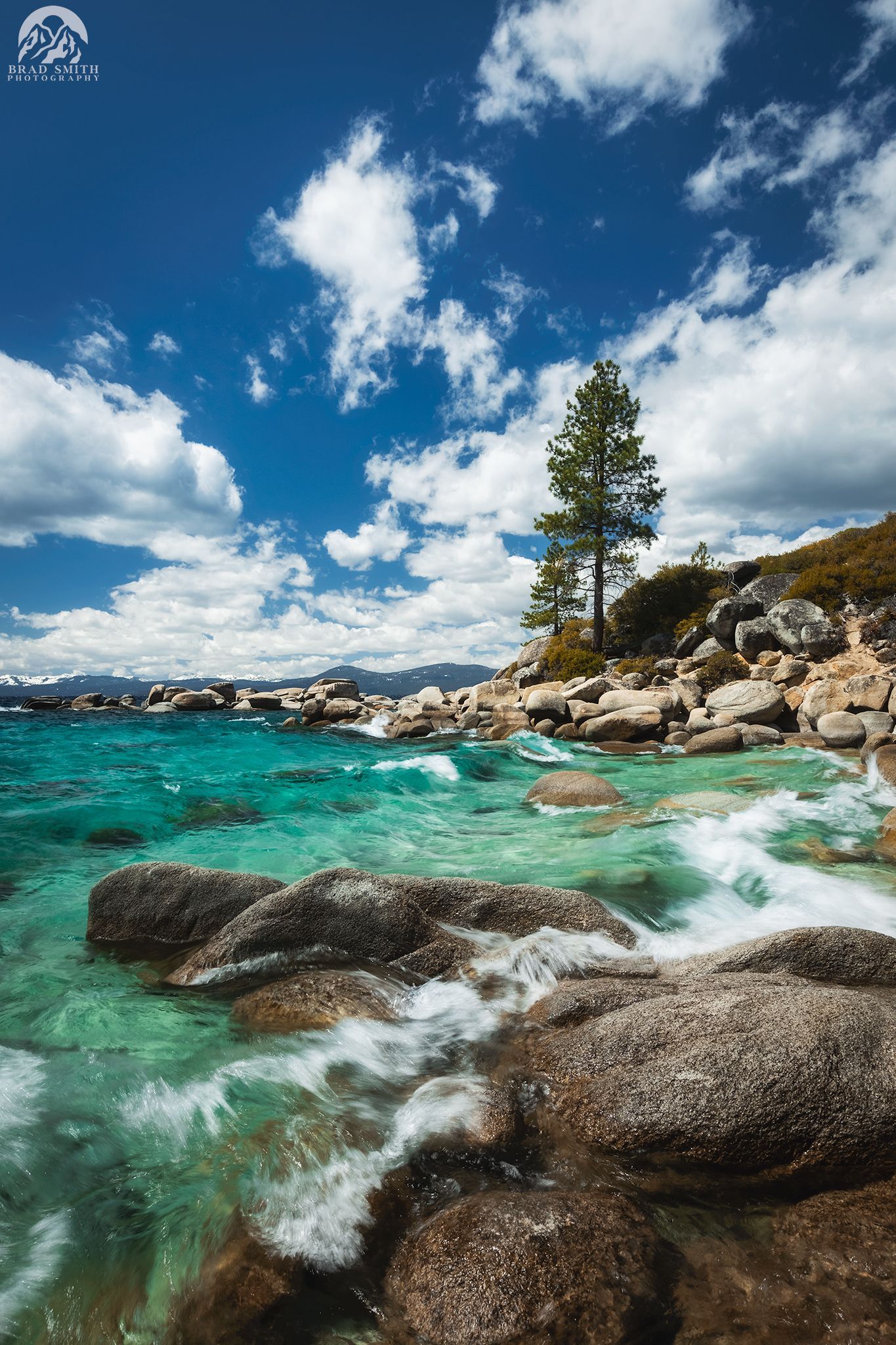 Rocky turquoise cove with crashing waves, pine tree, and bright blue sky with clouds