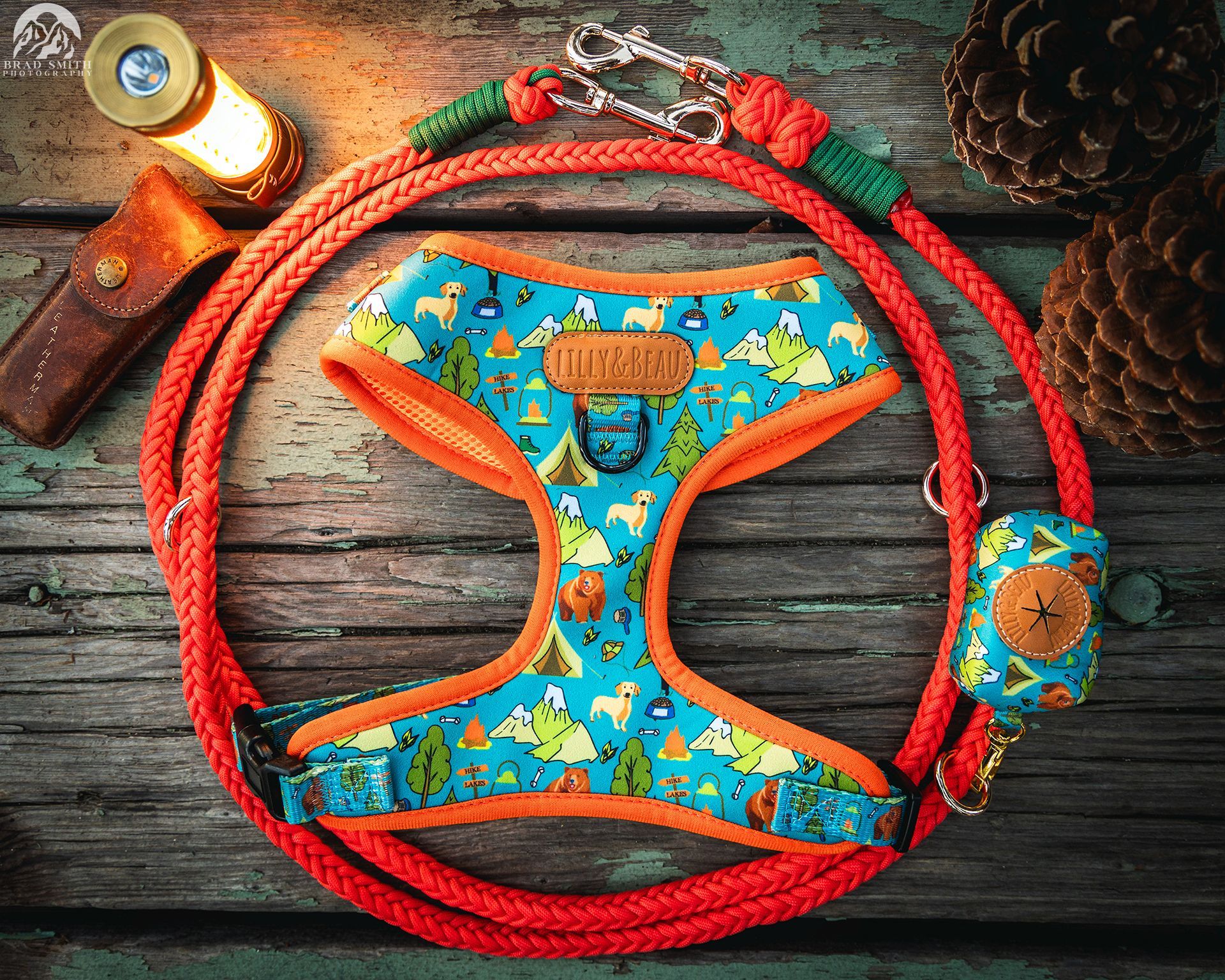 Colorful pet harness and red leash on weathered wood, with a small lantern and pinecone nearby