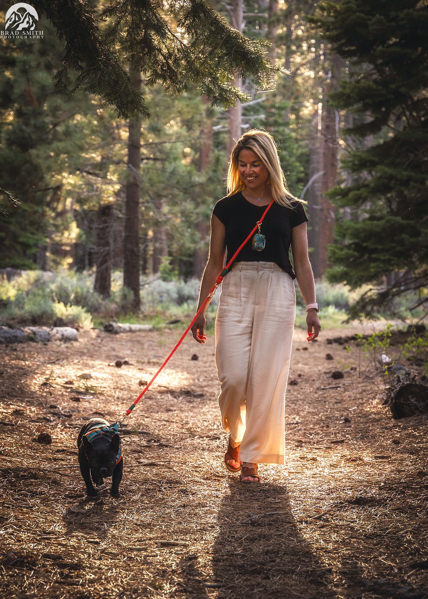 Woman walks a small dog on a red leash along a sunlit forest path