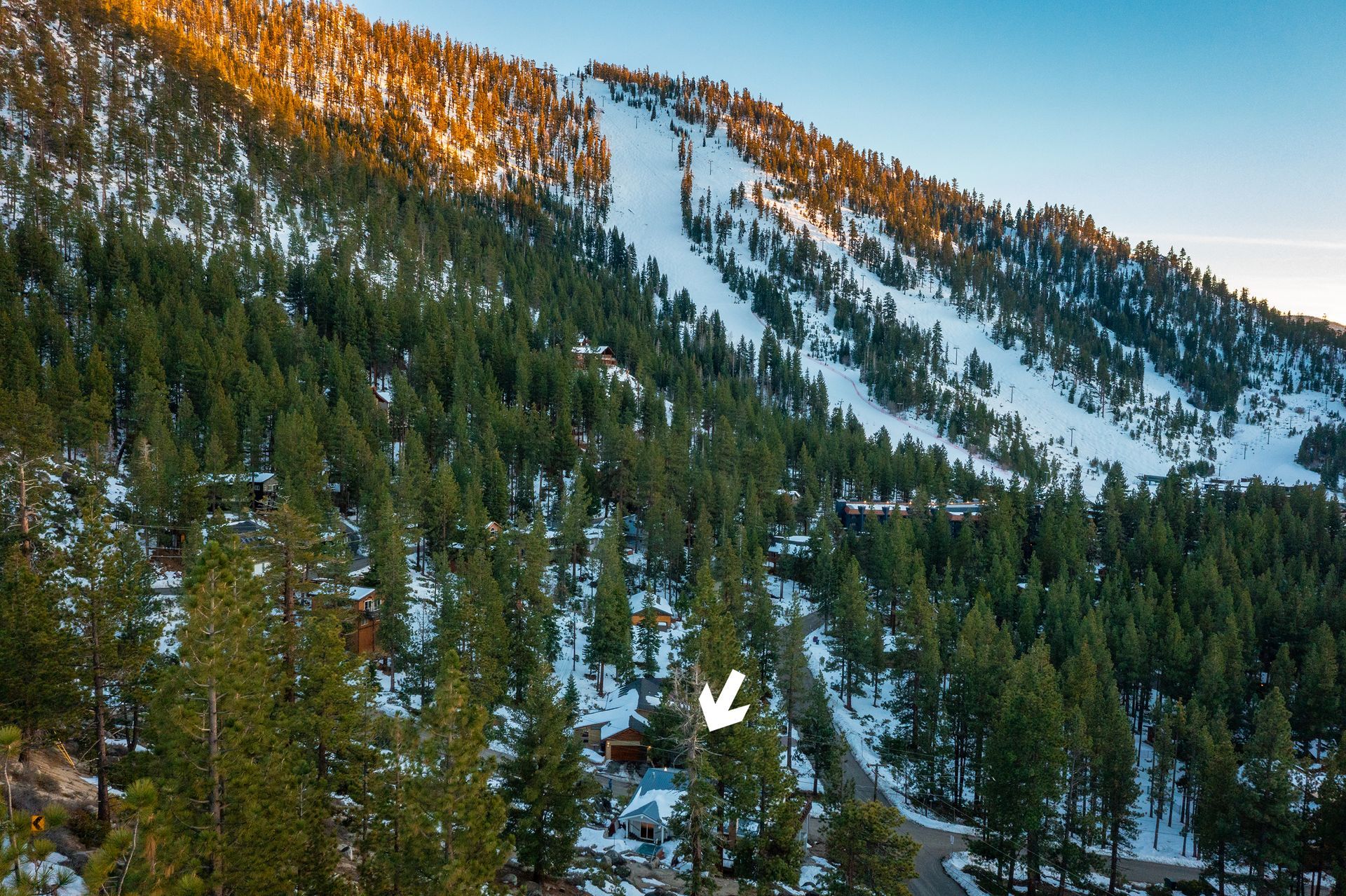 Snowy mountain slope above a forested valley with a small cabin below and a white arrow pointing to it