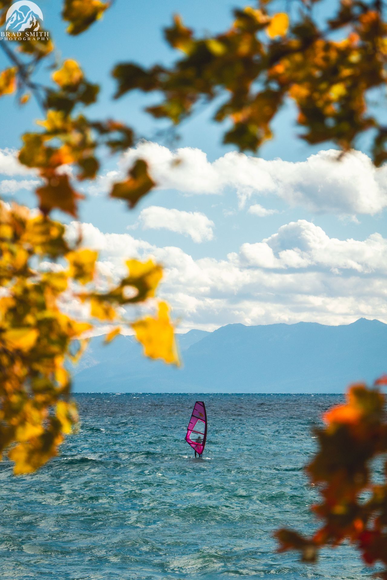Wind-surfer on blue sea, framed by autumn leaves under a cloudy sky.