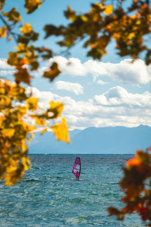 Man windsurfing on pink windsurf on Lake Tahoe with fall foliage trees in the foreground