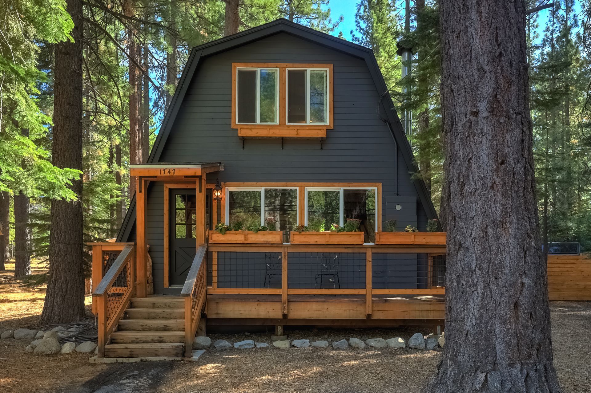 Dark cabin in a forest with wooden deck and stairs, tall pine trees surrounding it