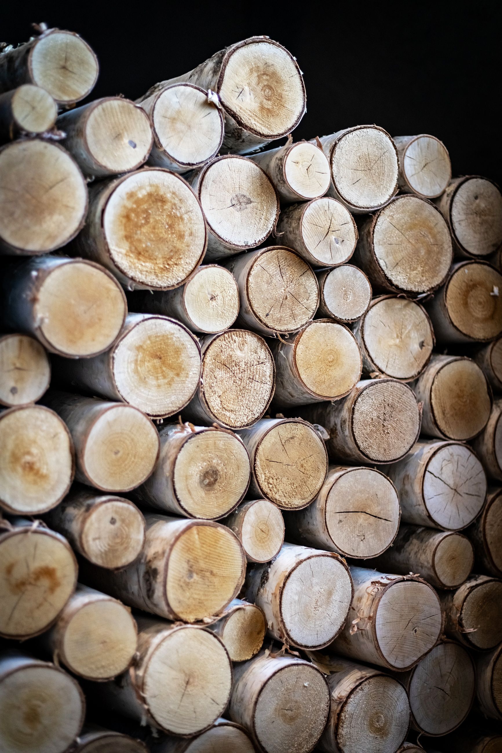 Stacked cut logs with pale ends and bark, arranged against a dark background.