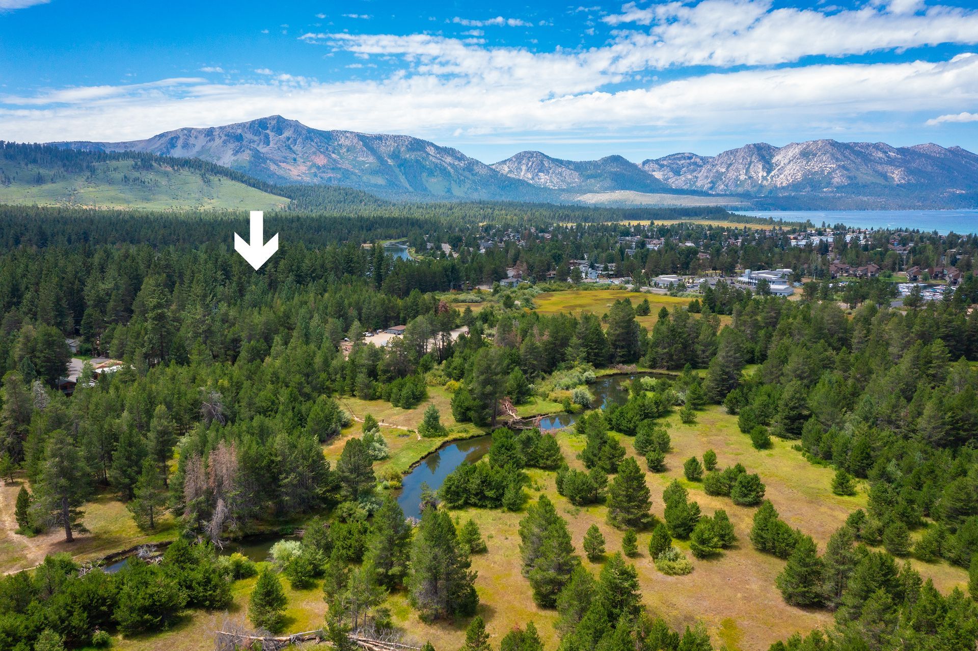 Forest valley with mountain range in the distance and a white arrow pointing to the trees