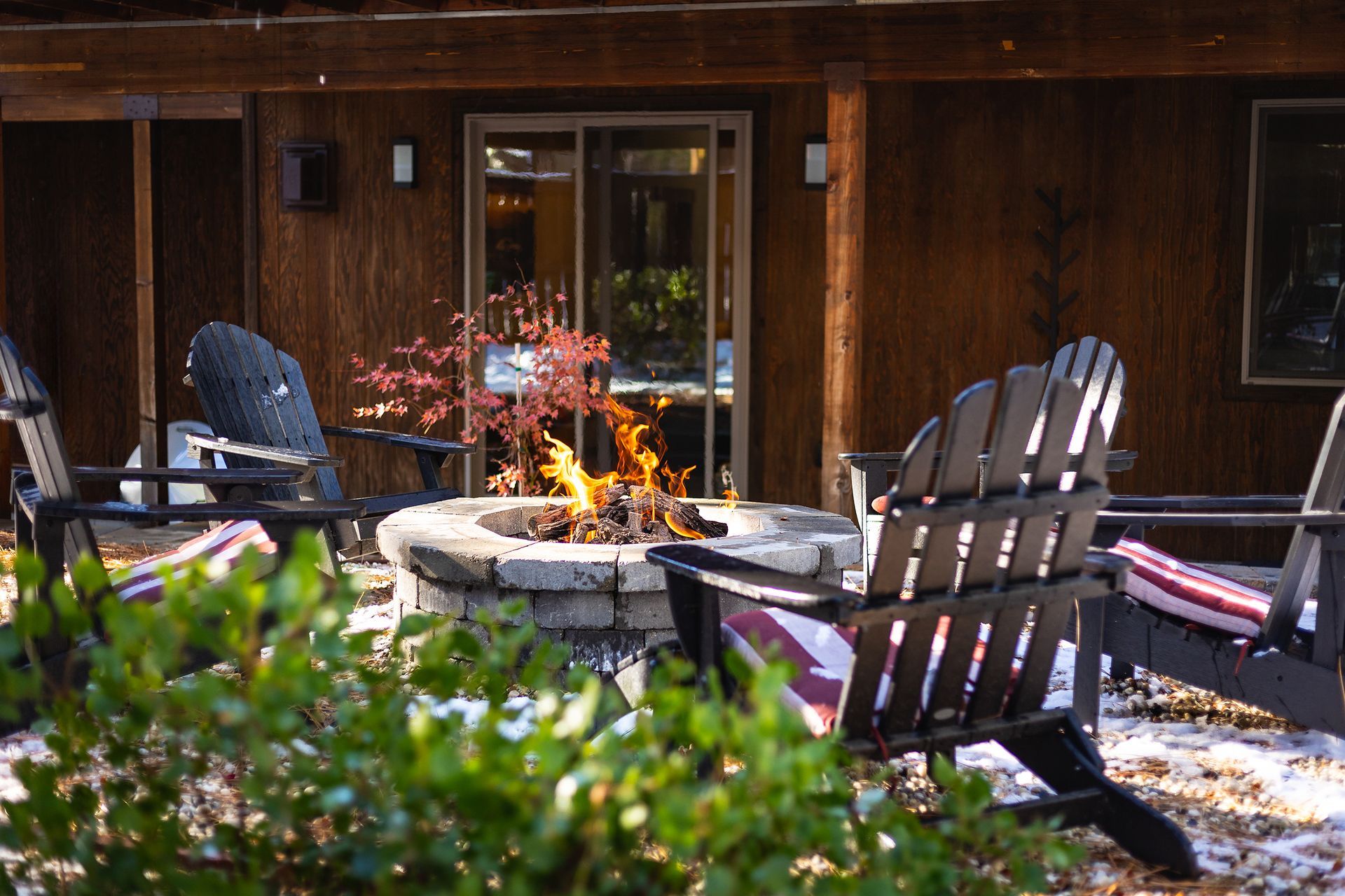 Outdoor patio with Adirondack chairs around a fire pit outside a wooden cabin, with flowers in the foreground