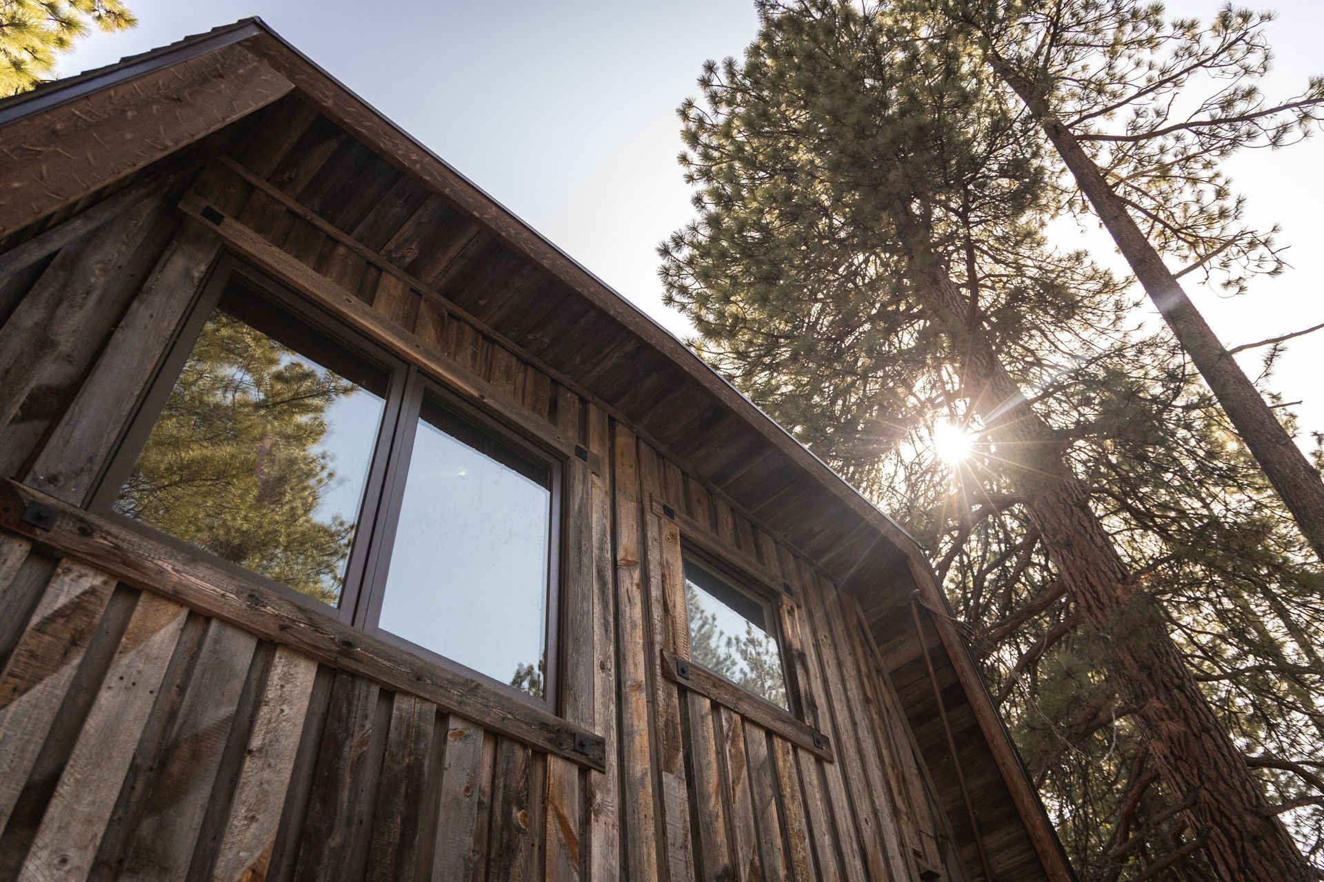 Rustic wooden cabin roof and windows viewed from below, with tall pine trees and sunlight behind.