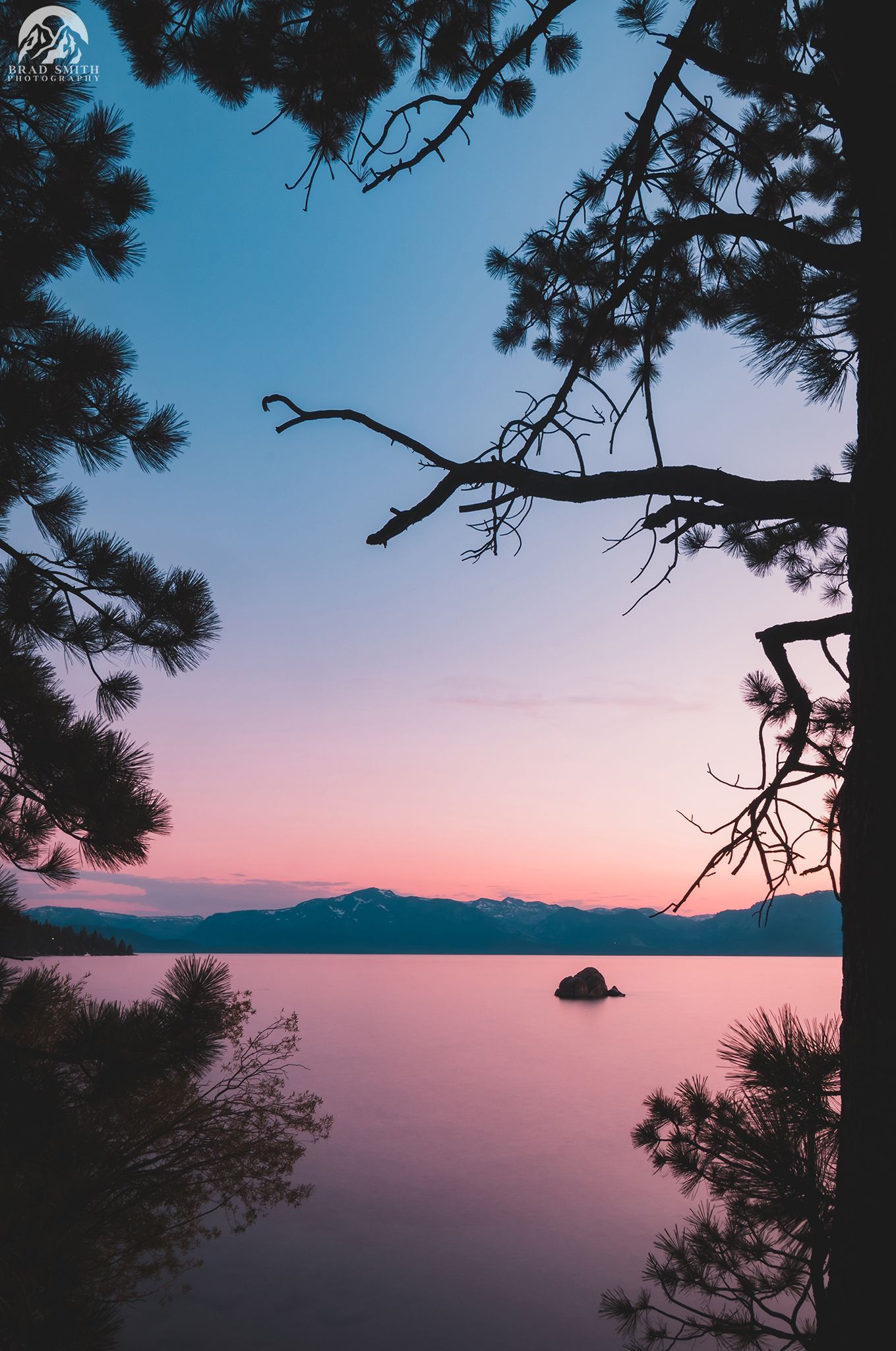Pink sunset over calm water framed by dark tree silhouettes, with a small boat near the horizon