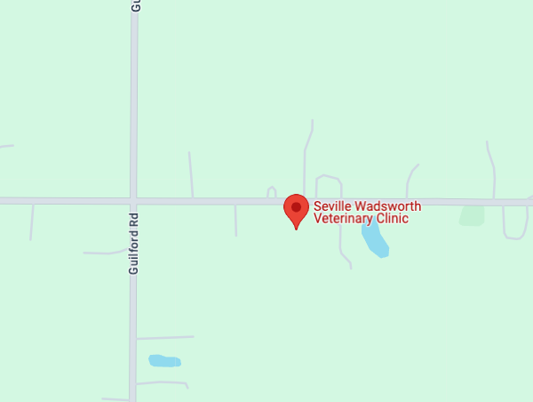 seville wadsworth map