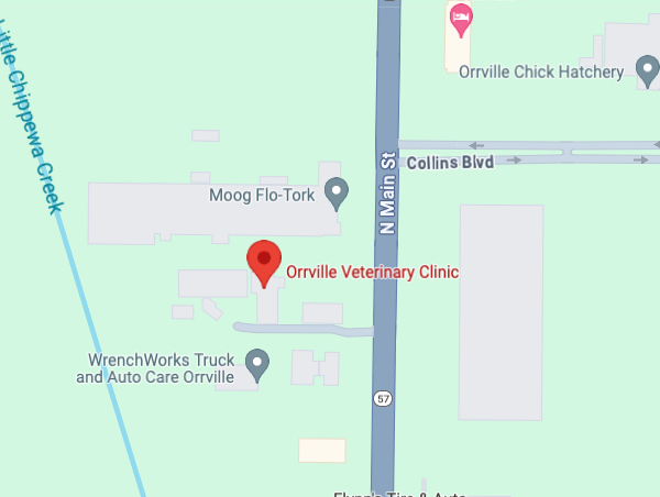 orrville vet map