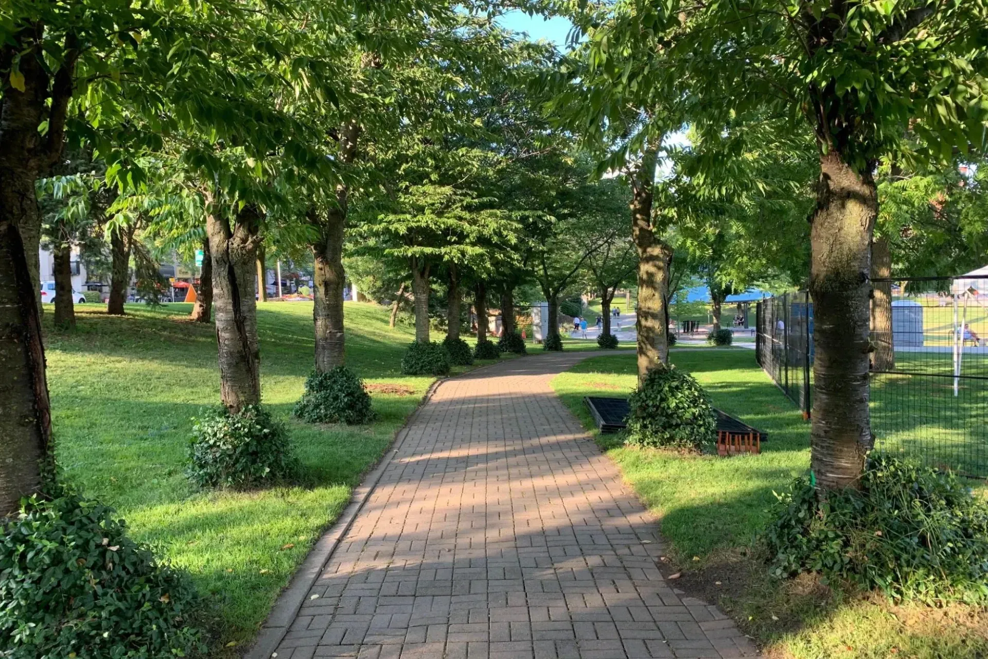 Tree-lined path through a neighbourhood park in Burlington. 