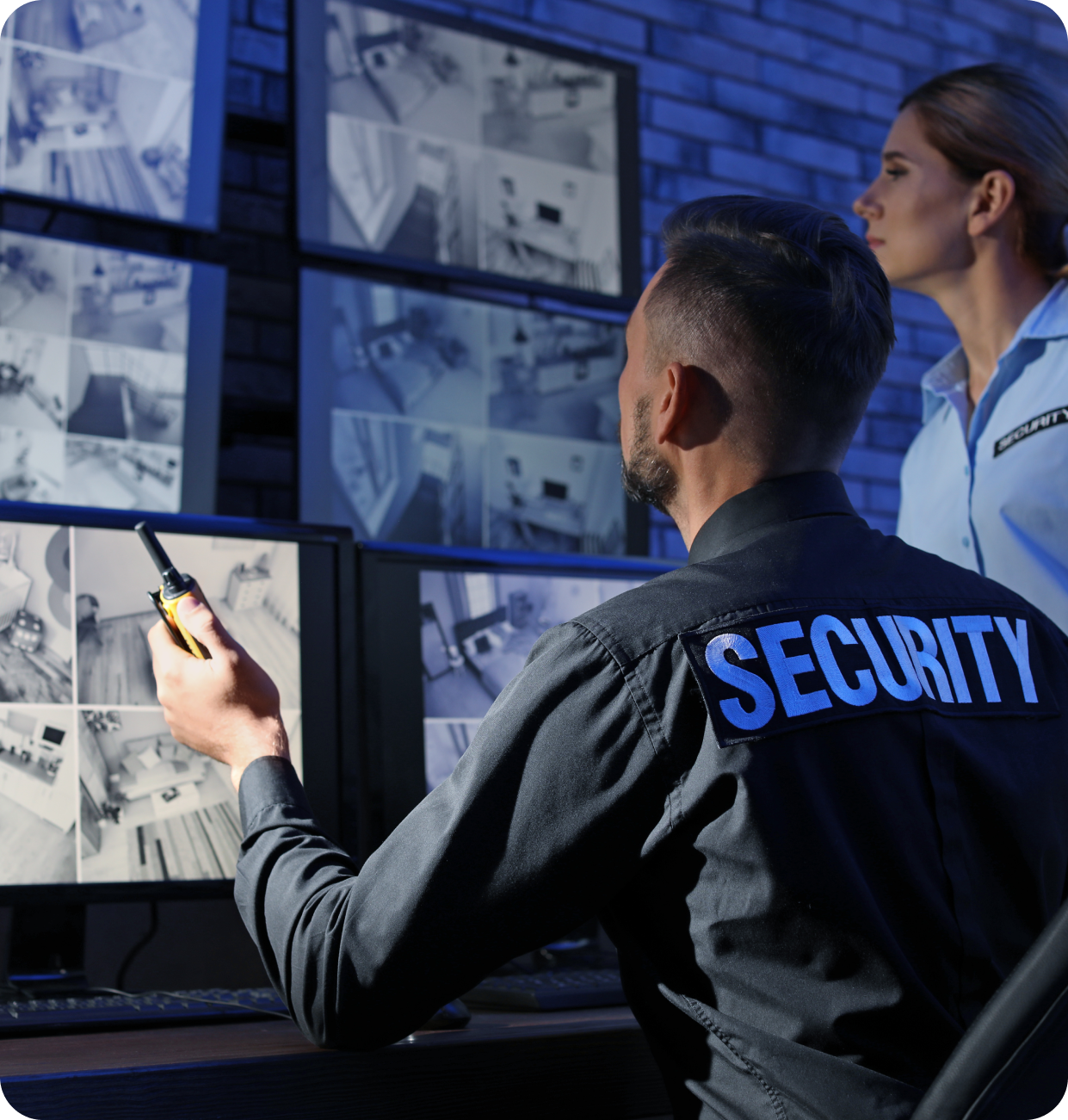 Top Virtual Security Guard Services in Business - PasWord Protection
