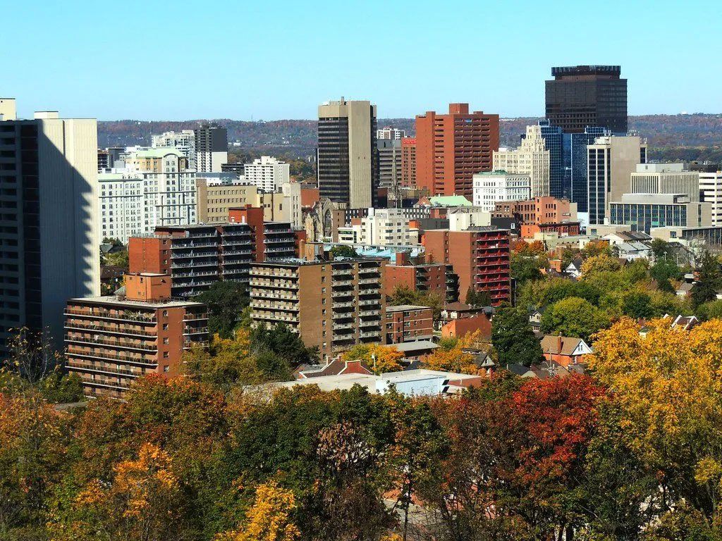 A city with a lot of buildings and trees in the foreground