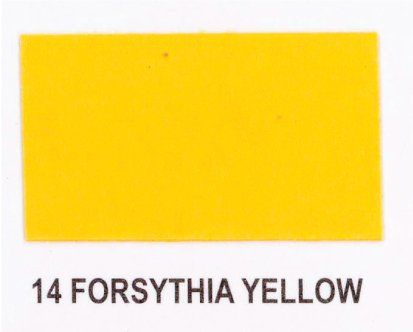 A yellow rectangle with 14 forsythia yellow written on it