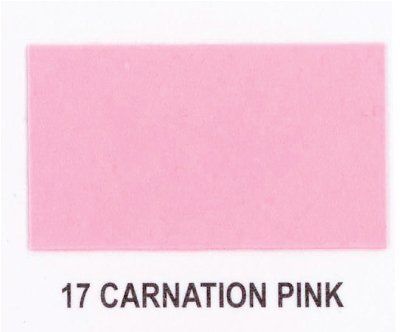 A sheet of pink paper with the number 17 carnation pink written on it.