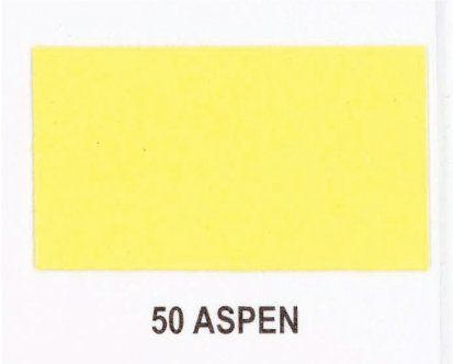 A yellow rectangle with the word aspen on it.