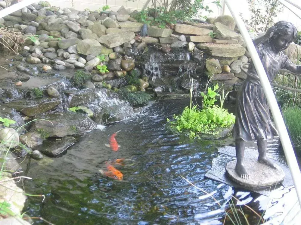 Koi fish swim in a pond with a small waterfall. A statue of a girl stands nearby.
