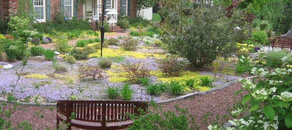 Lush terraced garden with blooming purple and yellow flowers in front of a house.
