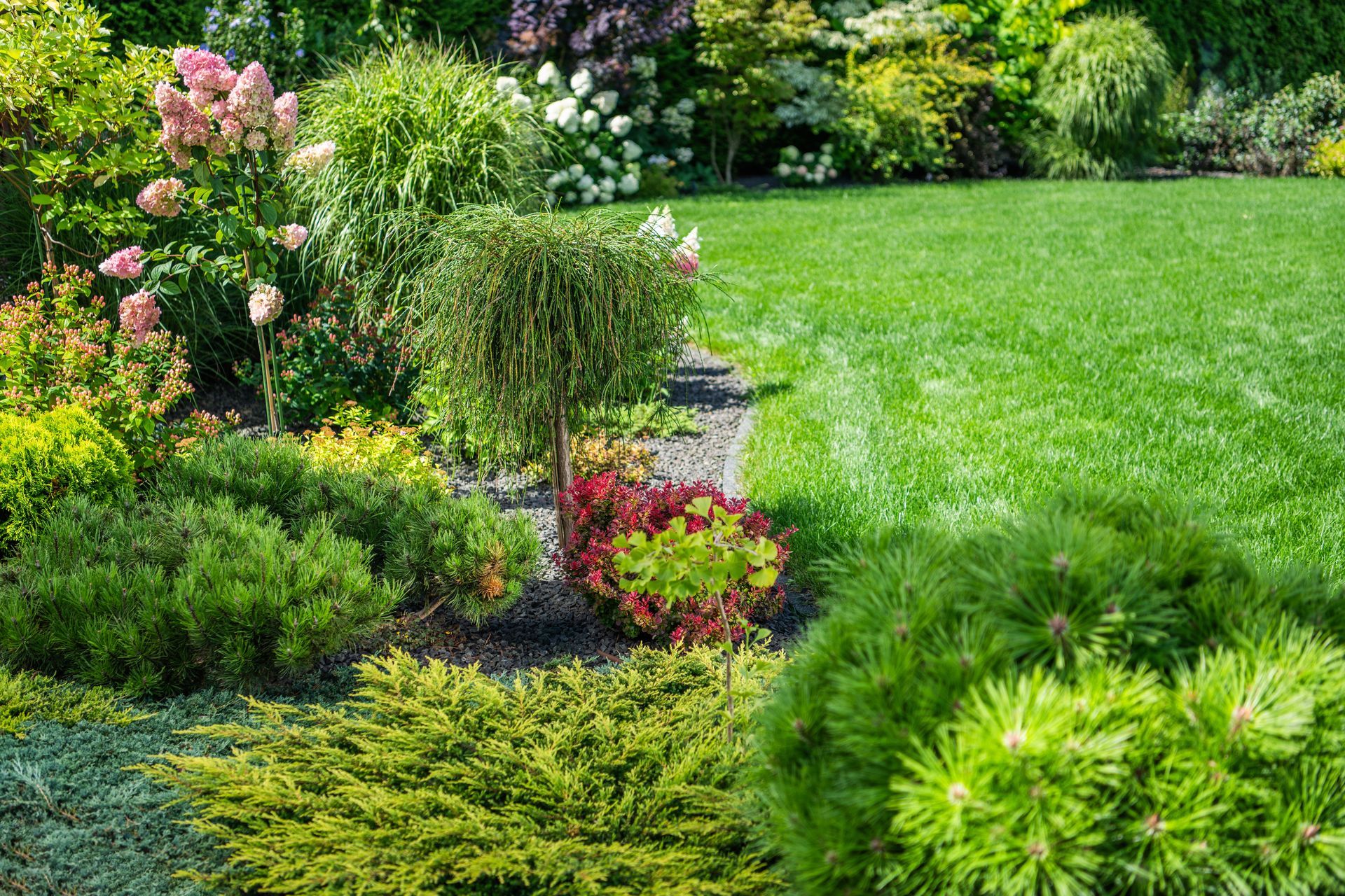 Lush green garden with diverse plants, shrubs, and a well-manicured lawn, under a bright sky.