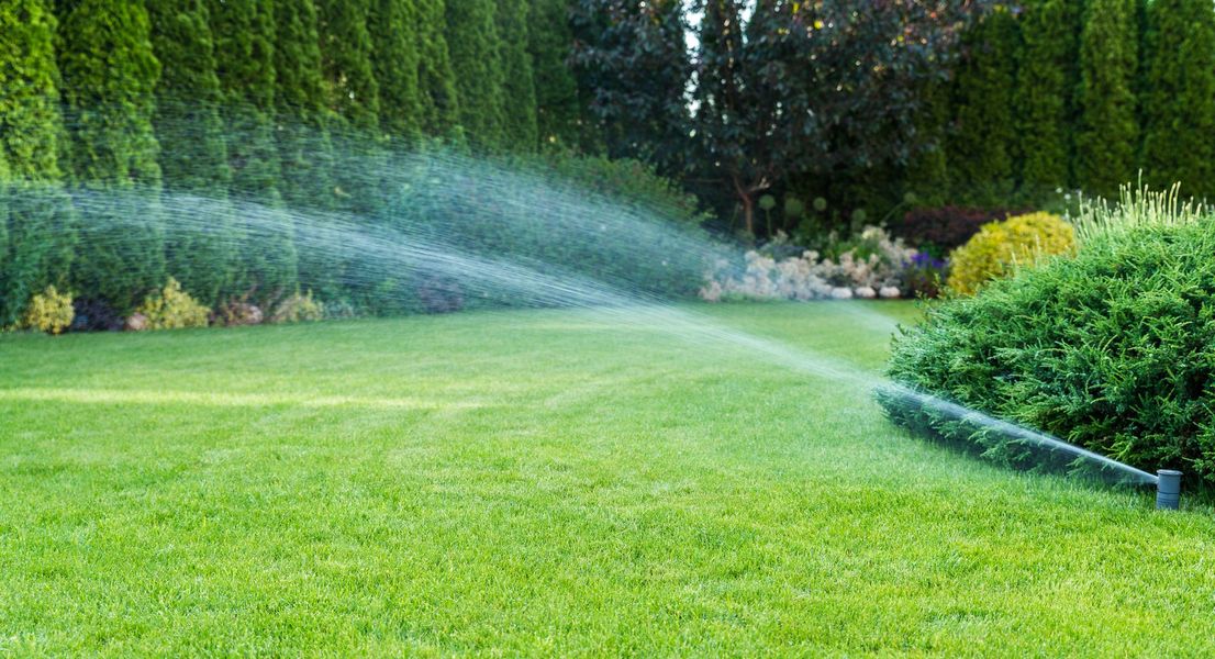 Sprinklers watering green lawn in a garden, with hedges and trees in the background.