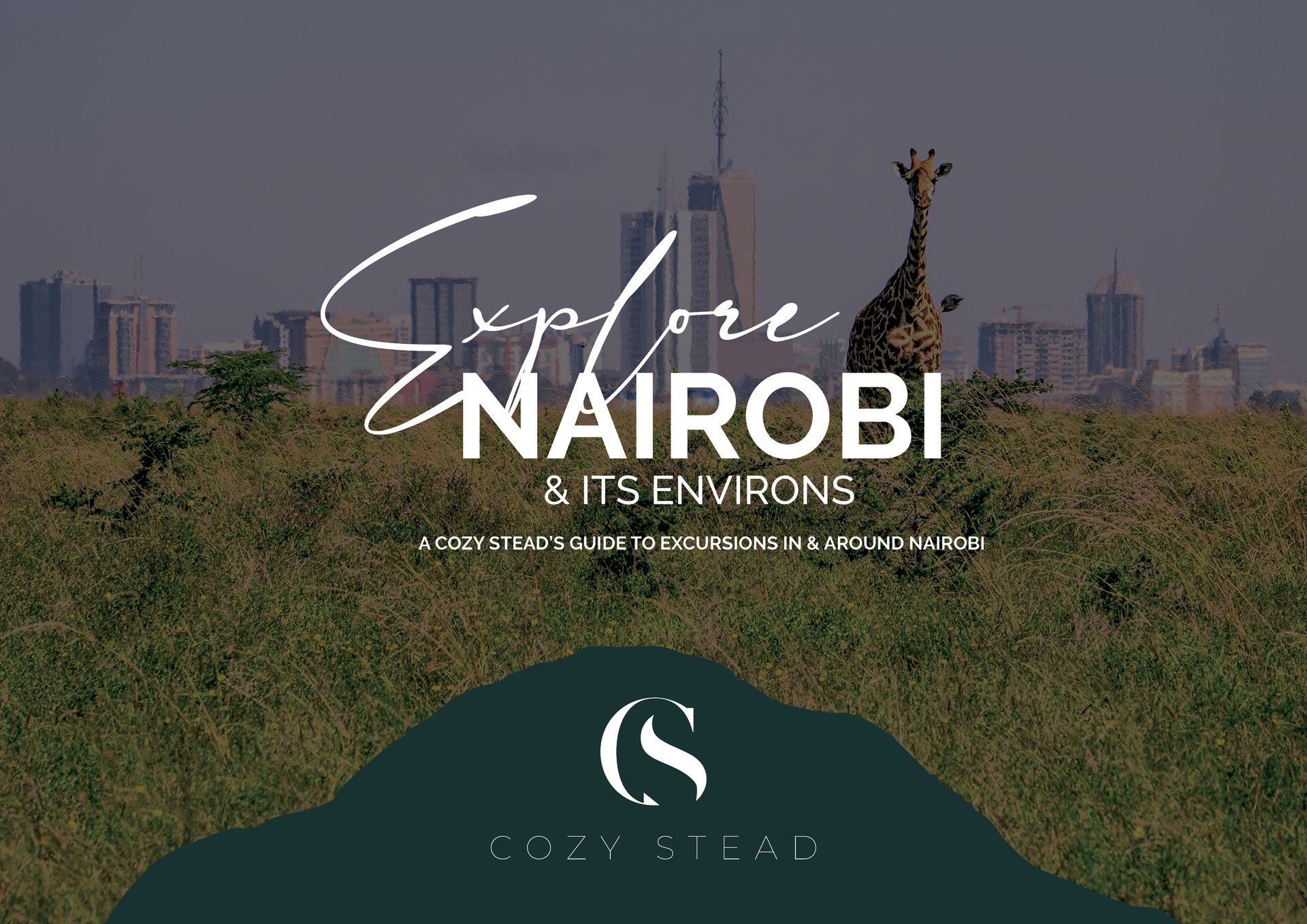 Cozy Stead excursions brochure